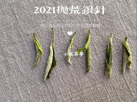2021抛荒银针，清鲜爽朗，是芝兰玉树一般的清风朗月（1斤收藏装） 商品图4