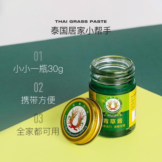 泰国稻穗青草膏30g【一般贸易】 商品图0