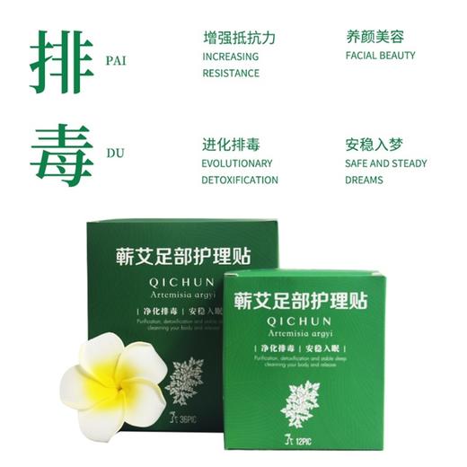 3元/天！用“足”两个月【蕲艾足贴】399元买10盒送1盒 商品图1