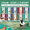 中国神话故事绘本（一本书读懂史前中国）共10册 童书 商品缩略图3