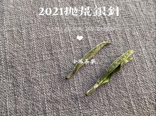 2021抛荒银针，清鲜爽朗，是芝兰玉树一般的清风朗月（1斤收藏装） 商品图5