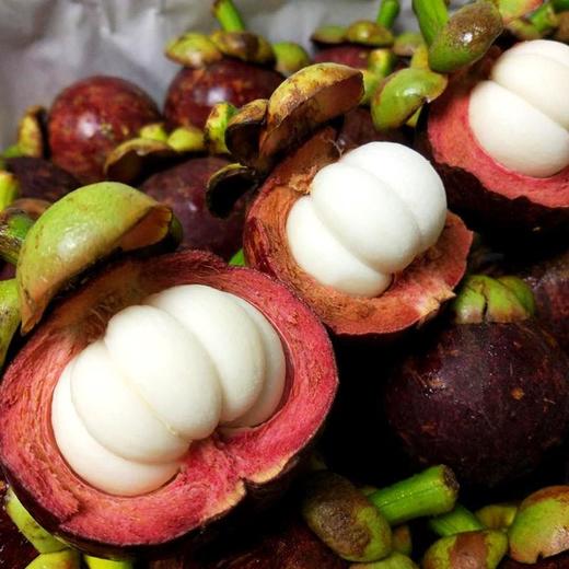 泰国5A麻竹山竹 净重3斤/5斤5A  顺丰冷链包邮 商品图2