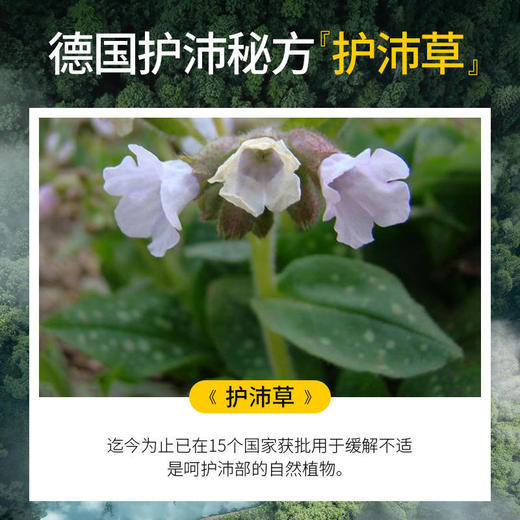 【买2送1，买3送2】SIVE利沛晶莹霜疗肺草精华，平喘润肺化痰，清新口气30g/支 商品图1