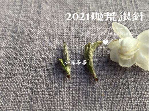 2021抛荒银针，清鲜爽朗，是芝兰玉树一般的清风朗月（50克分享装） 商品图7