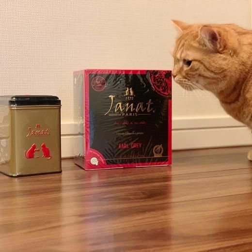 群福利（天猫同款98元1盒，洛姐售价59元 1盒50包）获饮品界的“奥斯卡奖”的锡兰茶，百年制茶工艺，甜润回甘，唇齿留香袋泡茶里的爱马仕 商品图0