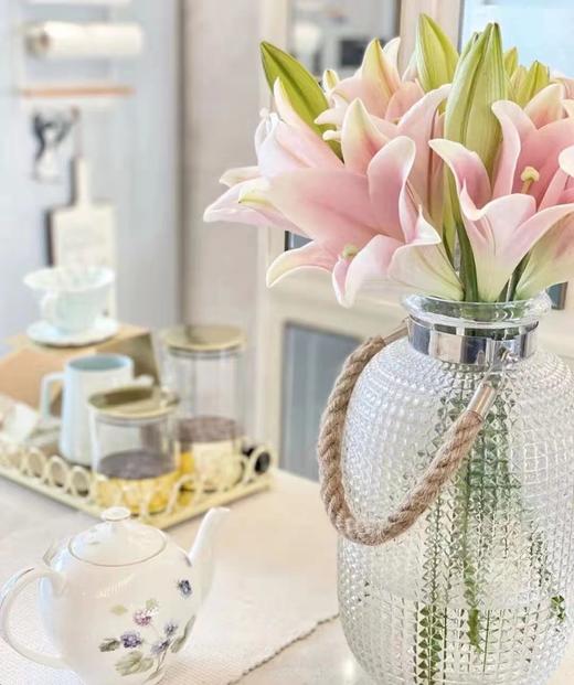 铁炮百合【我要傍近你，方不至于难过】简小姐精选 新品A 级铁炮百合-粉/白铁炮 2件包邮 下单72小时发货 商品图3