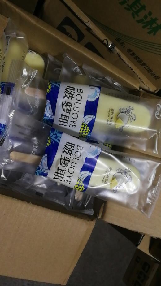 美伦—菠萝椰 商品图0