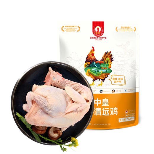 凤中皇 原种清远鸡正宗农家散养土鸡家养走地鸡谷物喂养900g整只 商品图0