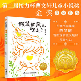 假装被风儿吹走了 接力杯曹文轩儿童小说奖书系