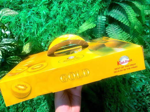 礼盒～新西兰 黄心佳沛奇异果（12颗装）发全国 商品图3