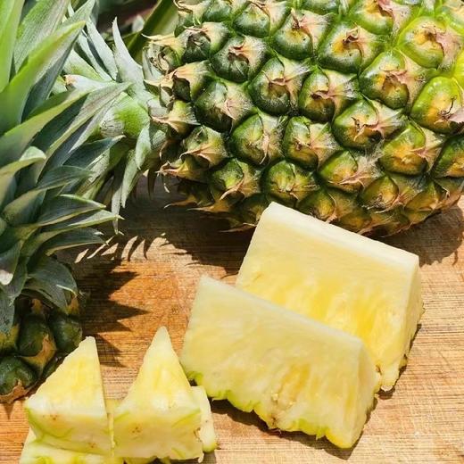 海南冬蜜凤梨   （购买前看详情）4.5-5斤 商品图4