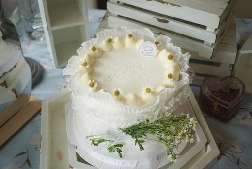 蕾丝边洋甘菊 商品图0