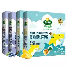 爱氏晨曦再制干酪杯宝宝奶酪婴儿高钙低钠无多添加牛奶酪辅食便携盒装【爱氏晨曦】