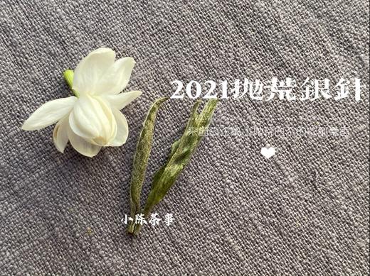 2021抛荒银针，清鲜爽朗，是芝兰玉树一般的清风朗月（50克分享装） 商品图6