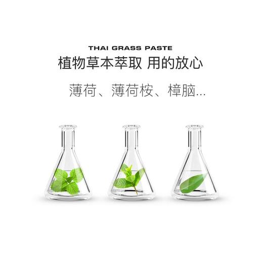 泰国稻穗青草膏30g【一般贸易】 商品图1