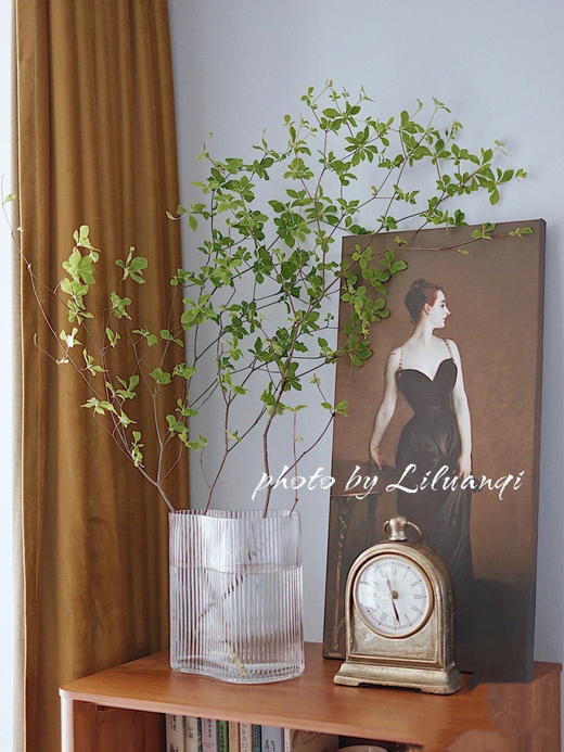 加厚北欧手风琴 创意透明玻璃花瓶 商品图0