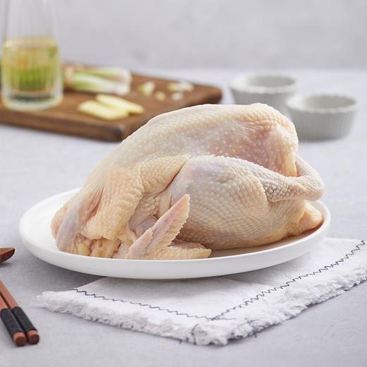 【礼盒】凤中皇 纯种清远鸡正宗农家散养土鸡家养走地鸡谷物喂养900g整只 商品图2