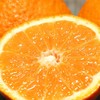 澳橙 新鲜水果500g 商品缩略图2