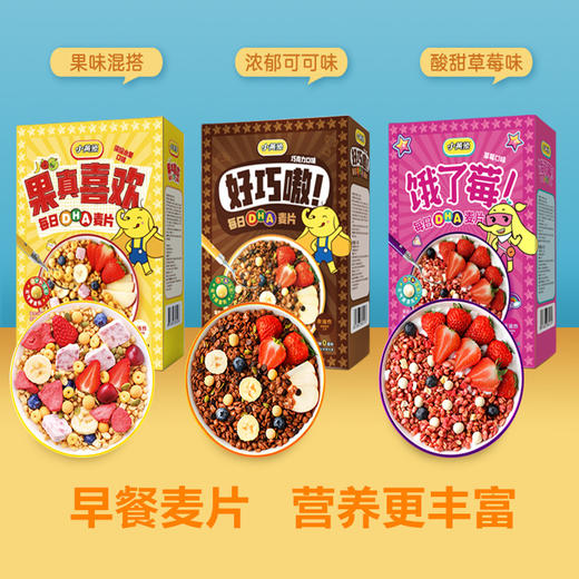 小黄象儿童麦片早餐营养谷物圈水果酸奶味 红利 商品图0