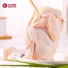 凤中皇 原种清远鸡正宗农家散养土鸡家养走地鸡谷物喂养900g整只 商品缩略图4