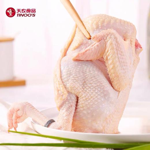 凤中皇 原种清远鸡正宗农家散养土鸡家养走地鸡谷物喂养900g整只 商品图4