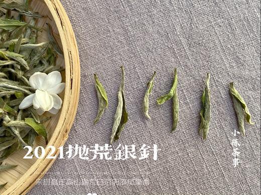 2021抛荒银针，清鲜爽朗，是芝兰玉树一般的清风朗月（1斤收藏装） 商品图3