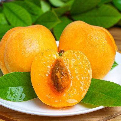 【10元3斤】金太阳杏（1501862） 商品图0