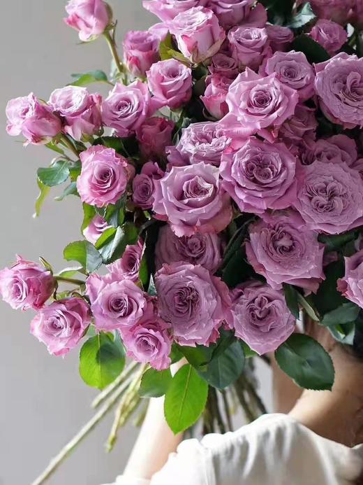 玫瑰碧海特价ab级跨越山海去爱你