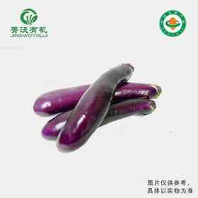 有机紫细长茄