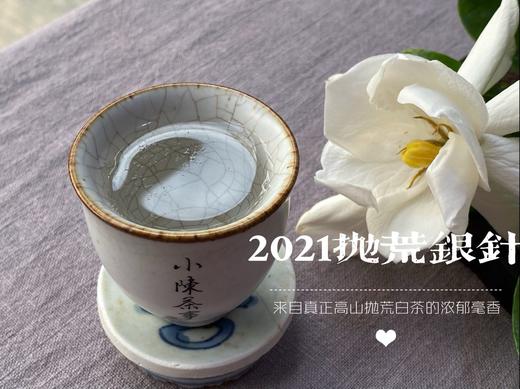 2021抛荒银针，清鲜爽朗，是芝兰玉树一般的清风朗月（1斤收藏装） 商品图12