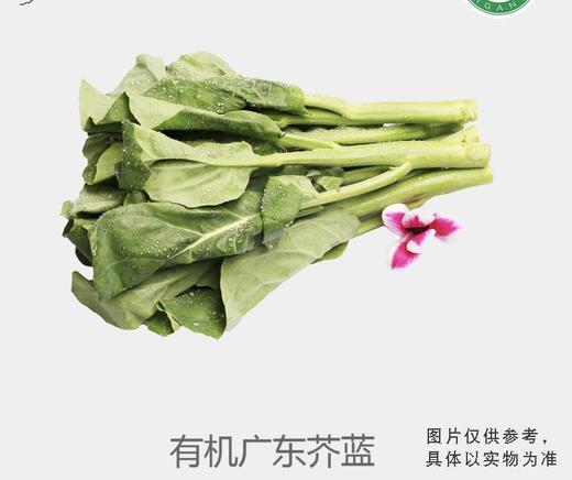 有机广东芥蓝 商品图0