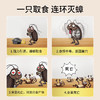 日本安速蟑螂小黑屋神器家用小黑帽屋杀虫剂灭蟑螂药无毒全窝端 商品缩略图2