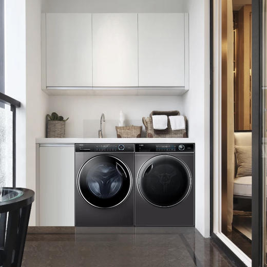 海尔（Haier）洗烘套装G100168BD14LSU1+HBNS100-FQ176U1 商品图2