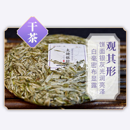 白茶丨中茶茶叶 2021 福鼎白毫银针茶饼 太姥银针200g 中粮 商品图3