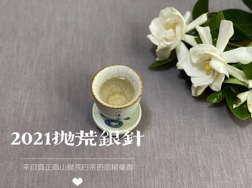 2021抛荒银针，清鲜爽朗，是芝兰玉树一般的清风朗月（1斤收藏装） 商品图11