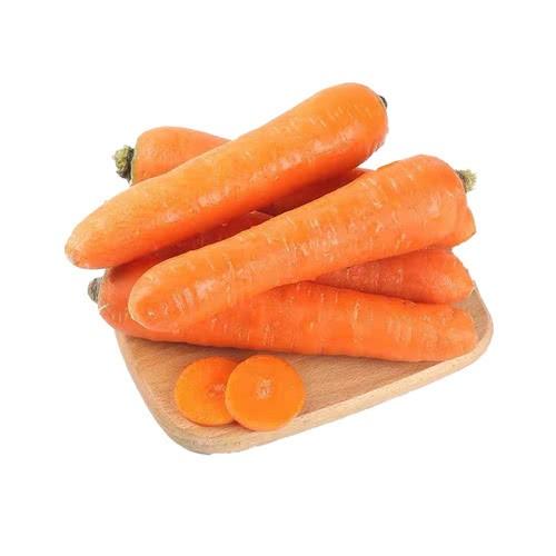 胡萝卜 约500克 商品图0