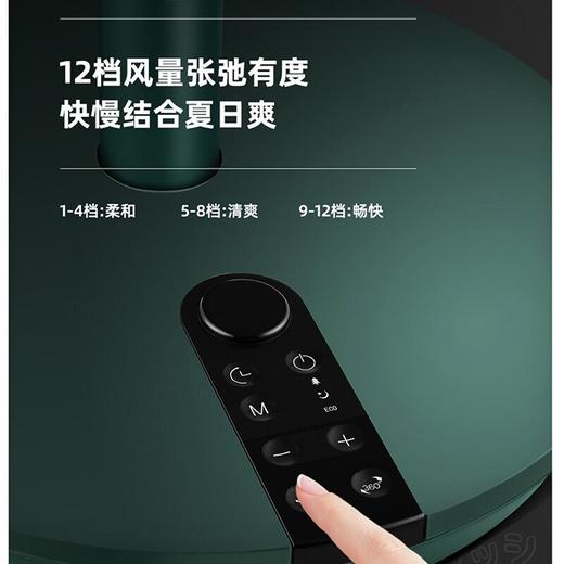 西哲静音空气循环扇Y-268 遥控家用台地两用扇直流变频电机360°摇头可拆洗落地8H预约 （360°摇头+12档） 商品图4
