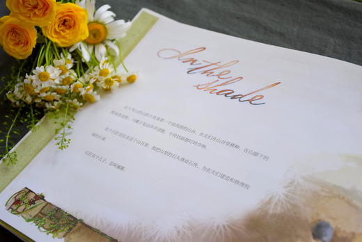 花园墙的故事（孩子必看！）  青少年情感教育绘本  男孩女孩都要学习的真爱课题 商品图2