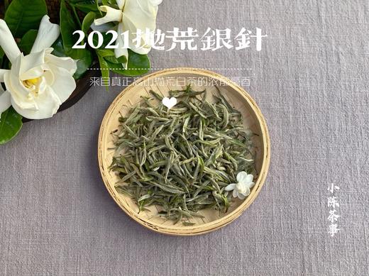 2021抛荒银针，清鲜爽朗，是芝兰玉树一般的清风朗月（1斤收藏装） 商品图0