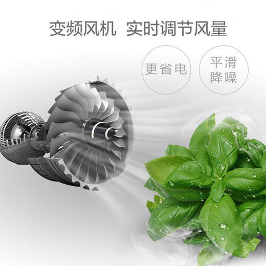 【家用电器】对开门TCL电冰箱118/163/205/515/520升对开门小型家用冰箱 商品图1