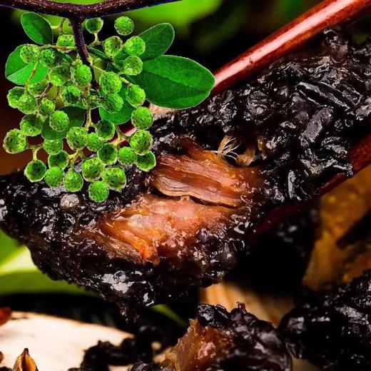 福聚端午礼盒A款 商品图7