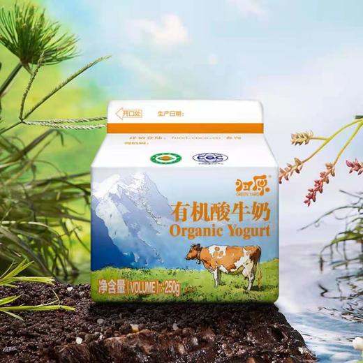 【产地直发包邮】归原有机酸牛奶（小有）250g*8盒/箱 商品图1