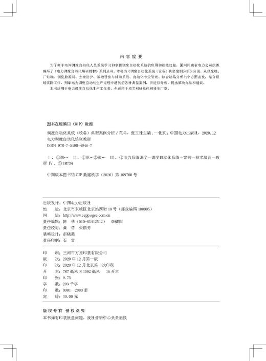 电力调度自动化培训教材 调度自动化系统（设备）典型案例分析 商品图3