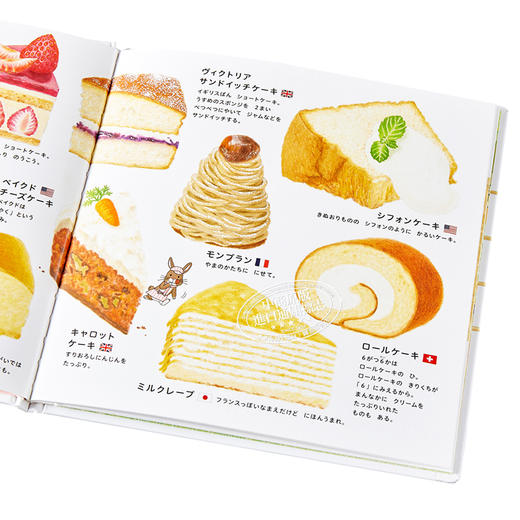预售 【中商原版】美味的甜点图鉴 日文原版 おかしのずかん コドモエのえほん 商品图3