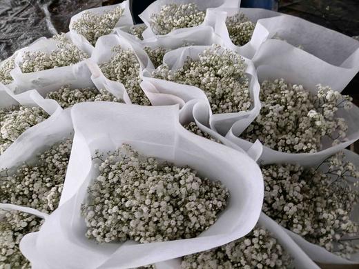 满天星AB 商品图2