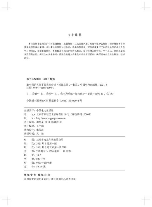 继电保护典型事故案例分析 商品图2