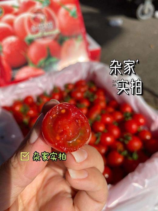 周四取货：【塑盒王婆小甜甜千禧】一盒毛重2.8斤左右，甜而爆汁！无敌新鲜！ 商品图0