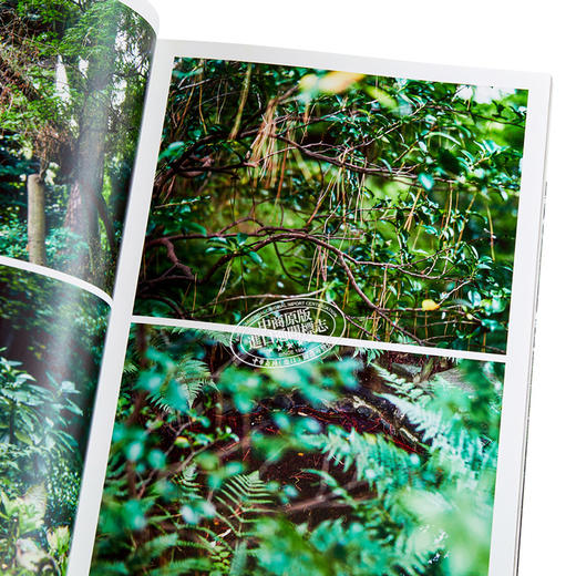 【中商原版】生命之庭 8位现代作家所看到的小宇宙 日文原版 生命の庭 8人の現代作家が見つけた小宇宙 商品图3