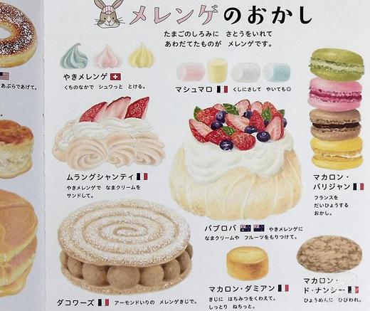预售 【中商原版】美味的甜点图鉴 日文原版 おかしのずかん コドモエのえほん 商品图4