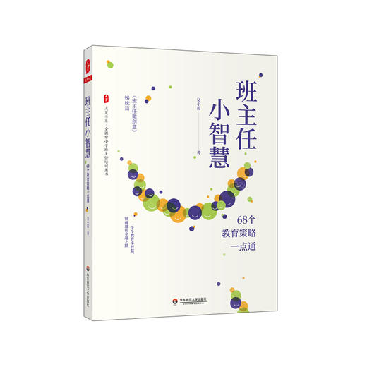 班主任小智慧 68个教育策略一点通 大夏书系全国中小学班主任培训用书 班主任微创意姊妹篇 吴小霞著 商品图0